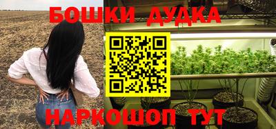 метадон Сланцы