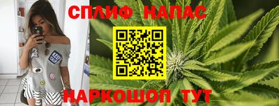 метадон Сланцы