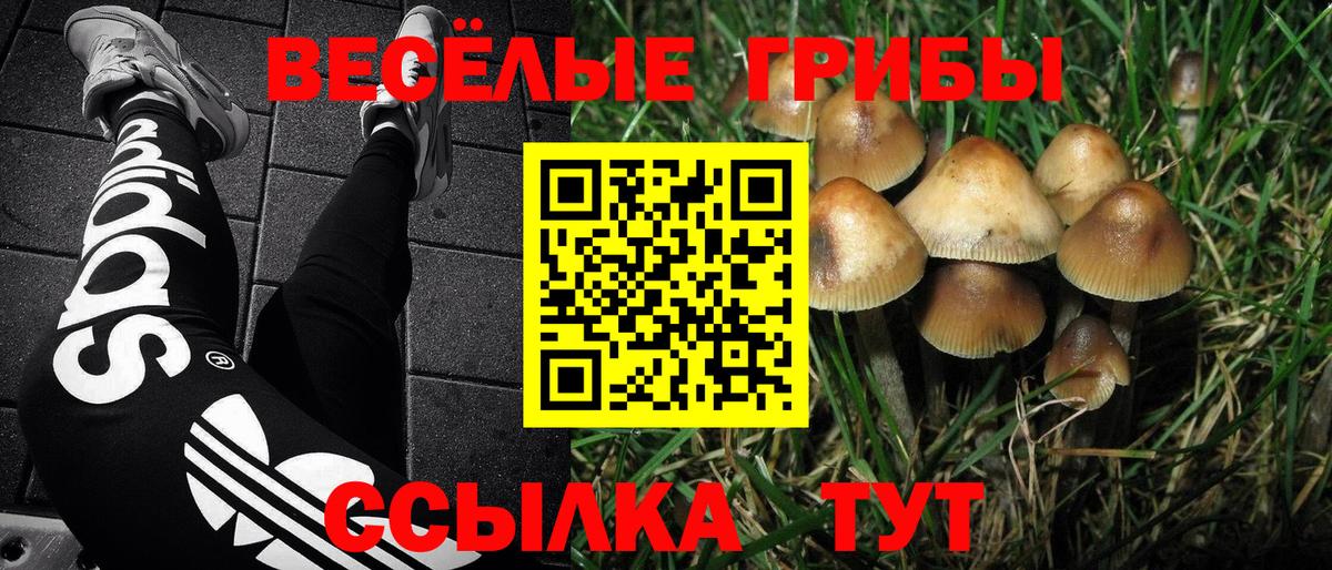 Псилоцибиновые грибы мухоморы  Вход с VPN  Оренбург 